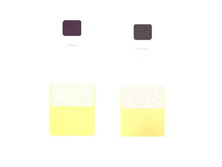 Air Bar Vibe 2 Private Label Options Checklist 2026